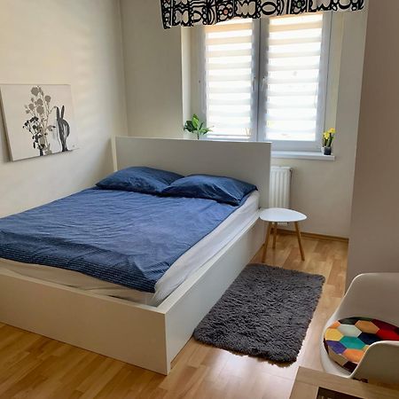 Apartament Joanna Parter Blisko Onkologii I Strefy Ekonomicznej Gliwice Exterior foto