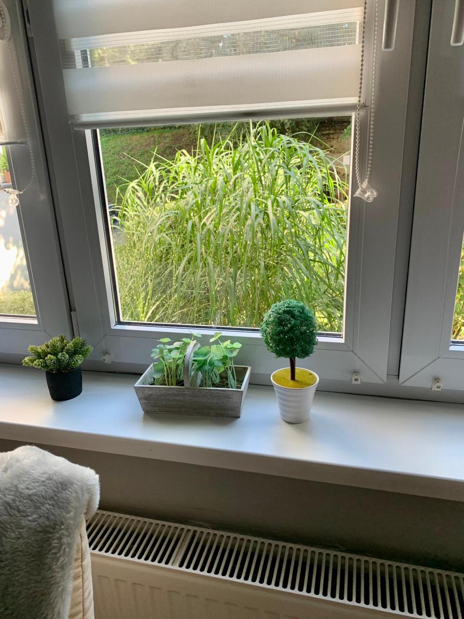 Apartament Joanna Parter Blisko Onkologii I Strefy Ekonomicznej Gliwice Exterior foto